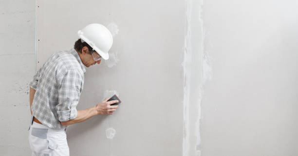 Best Attic Mold Removal  in Del Aire, CA